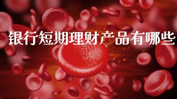 银行短期理财产品有哪些_https://wap.sdyuehang.cn_产经新闻_第1张