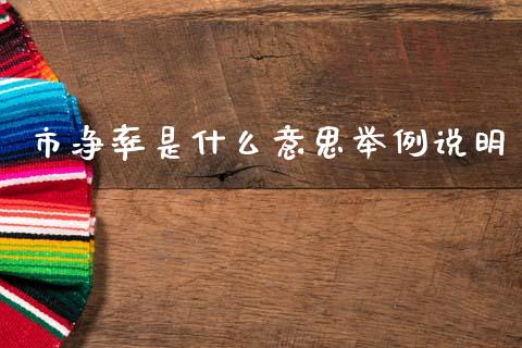 市净率是什么意思举例说明_https://wap.sdyuehang.cn_新股申购_第1张