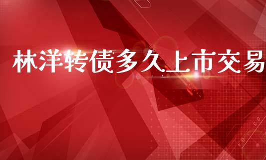 林洋转债多久上市交易_https://wap.sdyuehang.cn_美股行情_第1张