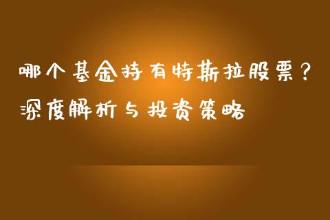 哪个基金持有特斯拉股票？深度解析与投资策略_https://wap.sdyuehang.cn_新股申购_第1张