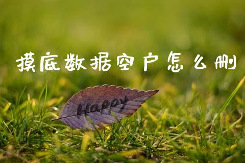 摸底数据空户怎么删_https://wap.sdyuehang.cn_美股行情_第1张