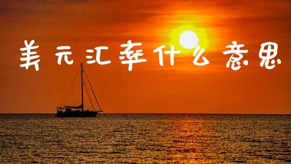 美元汇率什么意思_https://wap.sdyuehang.cn_美股行情_第1张