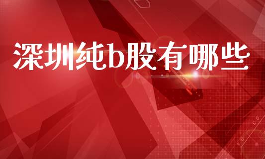 深圳纯b股有哪些_https://wap.sdyuehang.cn_债券资讯_第1张