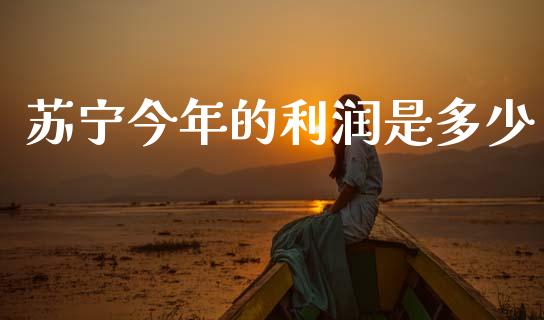 苏宁今年的利润是多少_https://wap.sdyuehang.cn_美股行情_第1张
