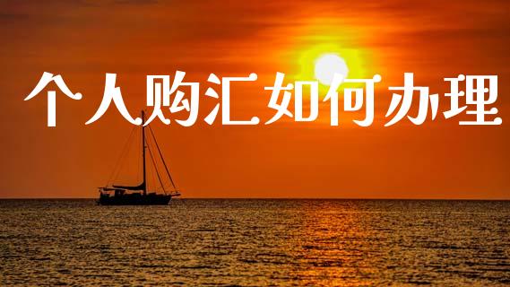 个人购汇如何办理_https://wap.sdyuehang.cn_美股行情_第1张