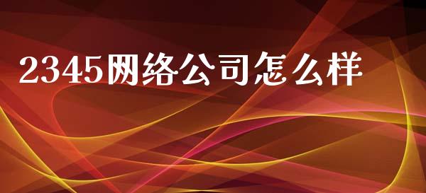 2345网络公司怎么样_https://wap.sdyuehang.cn_新股申购_第1张