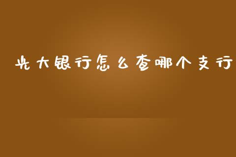 光大银行怎么查哪个支行_https://wap.sdyuehang.cn_债券资讯_第1张