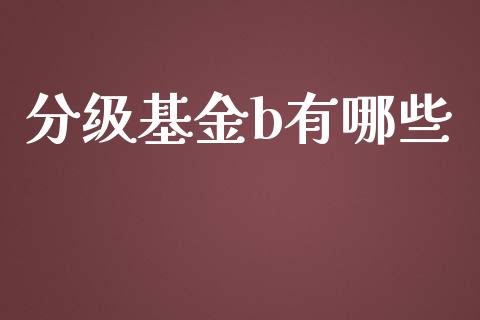 分级基金b有哪些_https://wap.sdyuehang.cn_产经新闻_第1张