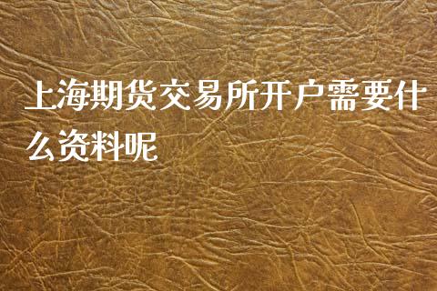 上海期货交易所开户需要什么资料呢_产经新闻_第1张_产经新闻_债券资讯_新股申购_美股行情 上海期货交易所开户需要什么资料呢_https://wap.sdyuehang.cn_产经新闻_第1张