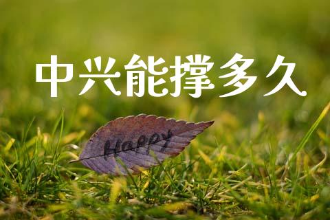 中兴能撑多久_https://wap.sdyuehang.cn_产经新闻_第1张