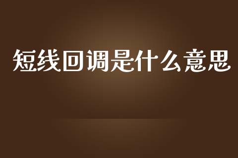 短线回调是什么意思_https://wap.sdyuehang.cn_美股行情_第1张