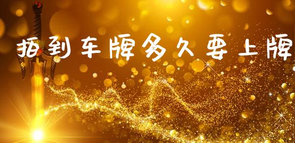 拍到车牌多久要上牌_https://wap.sdyuehang.cn_债券资讯_第1张