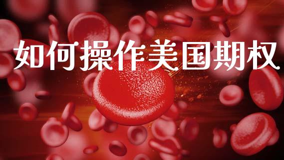 如何操作美国期权_https://wap.sdyuehang.cn_新股申购_第1张