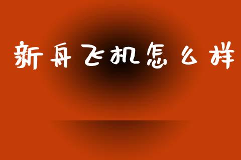 新舟飞机怎么样_https://wap.sdyuehang.cn_产经新闻_第1张