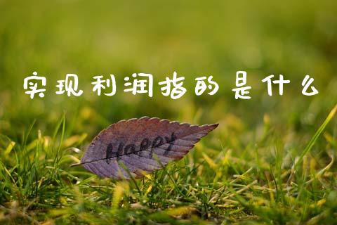 实现利润指的是什么_https://wap.sdyuehang.cn_产经新闻_第1张