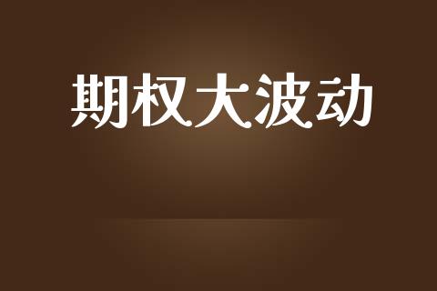 期权大波动_https://wap.sdyuehang.cn_美股行情_第1张