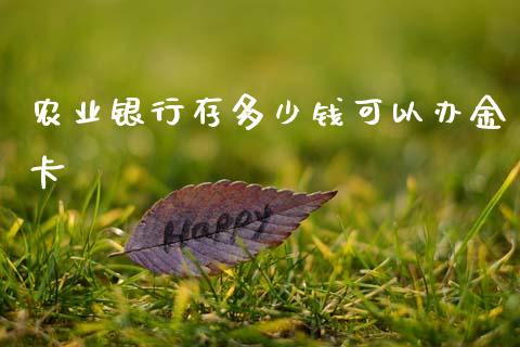 农业银行存多少钱可以办金卡_https://wap.sdyuehang.cn_新股申购_第1张