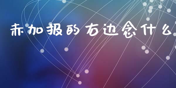 赤加报的右边念什么_https://wap.sdyuehang.cn_新股申购_第1张