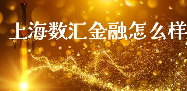 上海数汇金融怎么样_https://wap.sdyuehang.cn_债券资讯_第1张