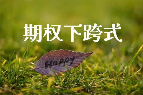 期权下跨式_https://wap.sdyuehang.cn_新股申购_第1张