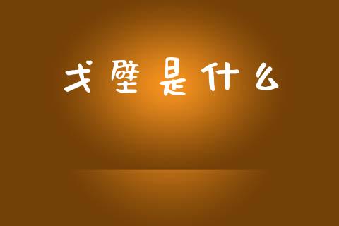 戈壁是什么_https://wap.sdyuehang.cn_债券资讯_第1张