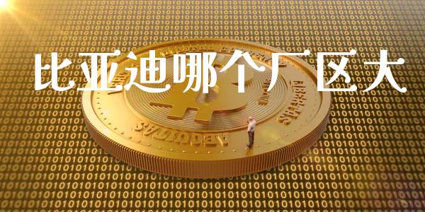 比亚迪哪个厂区大_https://wap.sdyuehang.cn_美股行情_第1张
