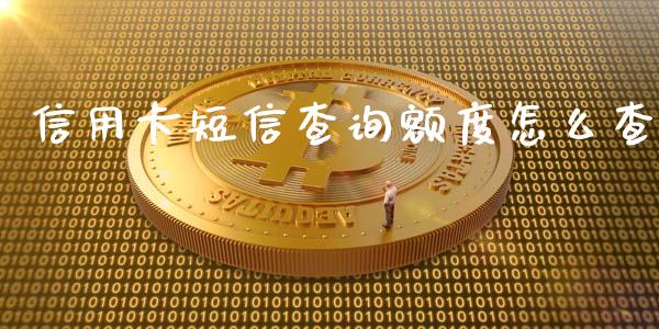 信用卡短信查询额度怎么查_https://wap.sdyuehang.cn_产经新闻_第1张