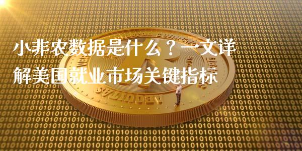 小非农数据是什么？一文详解美国就业市场关键指标_https://wap.sdyuehang.cn_美股行情_第1张