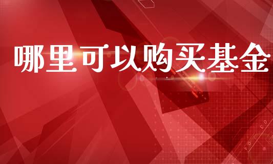 哪里可以购买基金_https://wap.sdyuehang.cn_新股申购_第1张
