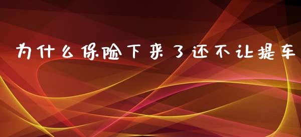 为什么保险下来了还不让提车_https://wap.sdyuehang.cn_新股申购_第1张