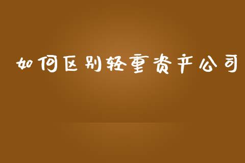 如何区别轻重资产公司_https://wap.sdyuehang.cn_债券资讯_第1张