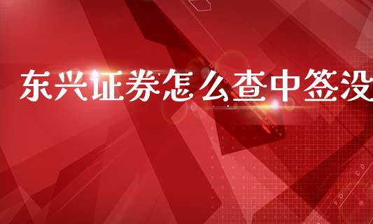 东兴证券怎么查中签没_https://wap.sdyuehang.cn_美股行情_第1张