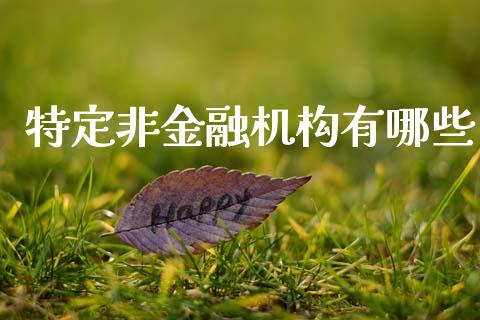 特定非金融机构有哪些_https://wap.sdyuehang.cn_美股行情_第1张