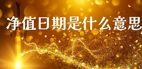 净值日期是什么意思_https://wap.sdyuehang.cn_新股申购_第1张