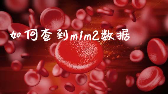 如何查到m1m2数据_https://wap.sdyuehang.cn_产经新闻_第1张