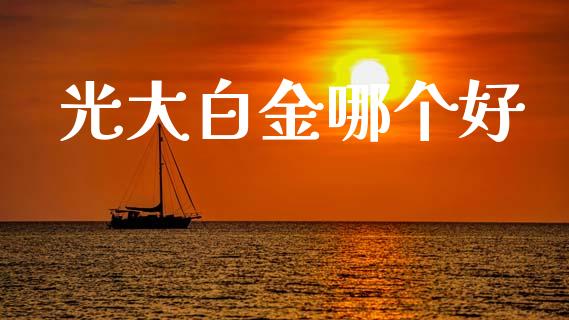 光大白金哪个好_https://wap.sdyuehang.cn_债券资讯_第1张