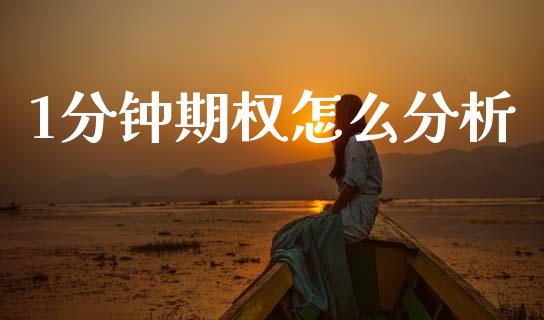 1分钟期权怎么分析_https://wap.sdyuehang.cn_美股行情_第1张
