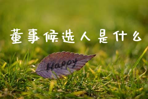 董事候选人是什么_https://wap.sdyuehang.cn_新股申购_第1张
