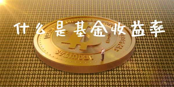 什么是基金收益率_https://wap.sdyuehang.cn_债券资讯_第1张