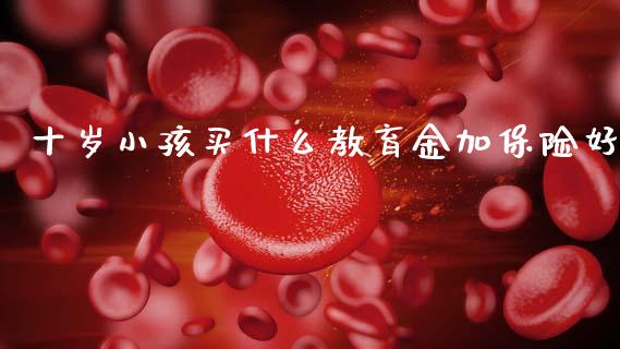 十岁小孩买什么教育金加保险好_https://wap.sdyuehang.cn_美股行情_第1张