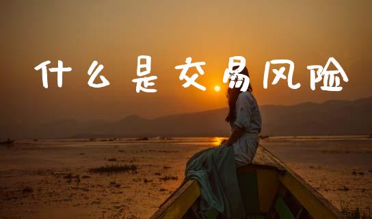 什么是交易风险_https://wap.sdyuehang.cn_新股申购_第1张