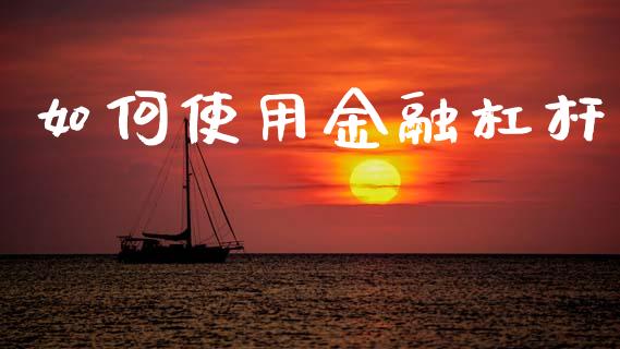 如何使用金融杠杆_https://wap.sdyuehang.cn_债券资讯_第1张