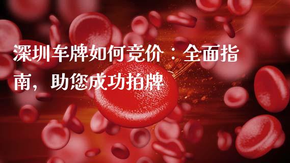 深圳车牌如何竞价：全面指南，助您成功拍牌_https://wap.sdyuehang.cn_债券资讯_第1张