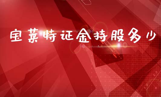 宝莱特证金持股多少_https://wap.sdyuehang.cn_新股申购_第1张