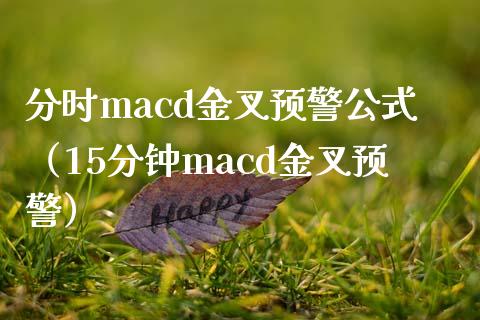 分时macd金叉预警公式（15分钟macd金叉预警）_https://wap.sdyuehang.cn_产经新闻_第1张