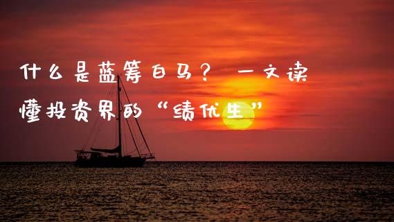 什么是蓝筹白马？ 一文读懂投资界的“绩优生”_https://wap.sdyuehang.cn_债券资讯_第1张