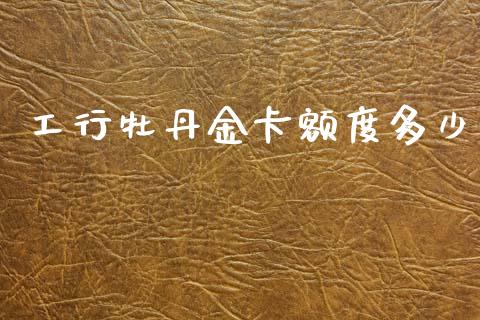 工行牡丹金卡额度多少_https://wap.sdyuehang.cn_债券资讯_第1张