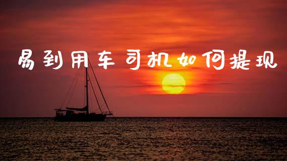 易到用车司机如何提现_https://wap.sdyuehang.cn_新股申购_第1张
