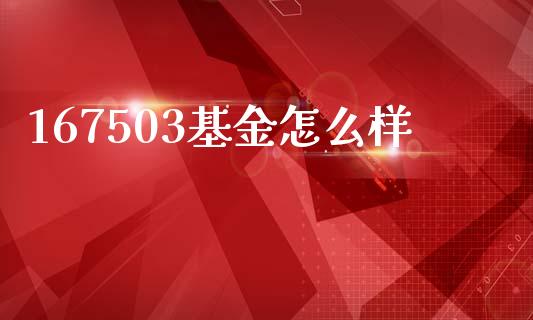 167503基金怎么样_https://wap.sdyuehang.cn_债券资讯_第1张