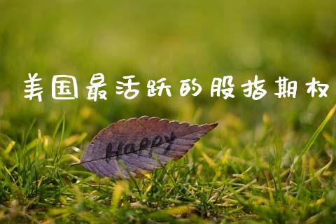 美国最活跃的股指期权_https://wap.sdyuehang.cn_产经新闻_第1张